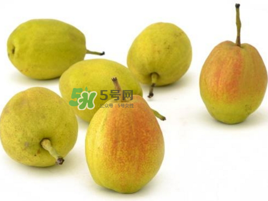 香梨怎么挑？香梨的功效與作用