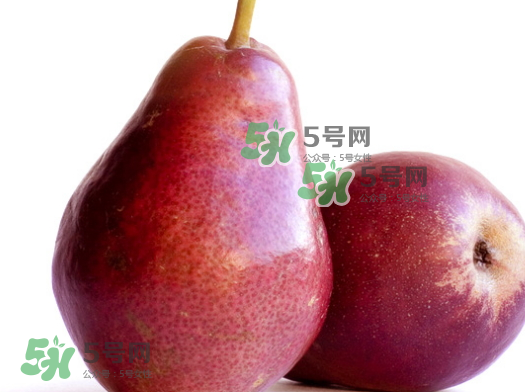 啤梨放軟了才能吃嗎？啤梨的功效與作用