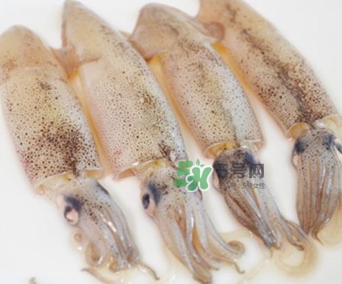 筆管魚是什么魚？筆管魚怎么吃