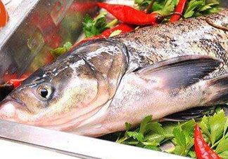 魷魚多少錢一斤市場(chǎng)價(jià)2022 魷魚的營養(yǎng)價(jià)值和功效