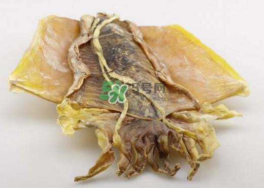 魷魚干是生的還是熟的？魷魚干是海鮮嗎