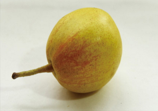 香梨怎么挑？香梨的功效與作用