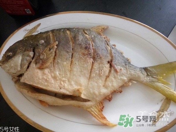 金鯧魚(yú)是海魚(yú)嗎？金鯧魚(yú)的刺多嗎？