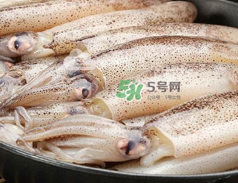 筆管魚是什么魚？筆管魚怎么吃