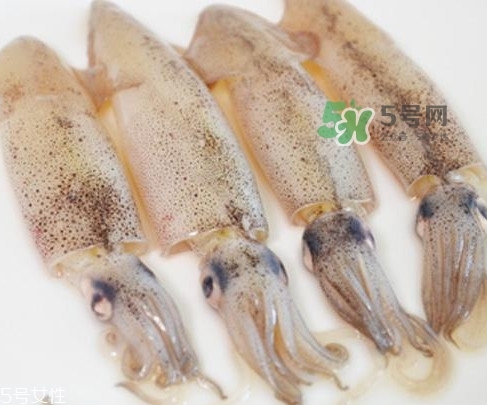 海兔子是什么？海兔子是墨魚嗎