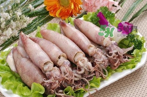 筆管魚是魷魚嗎？筆管魚和魷魚的區(qū)別