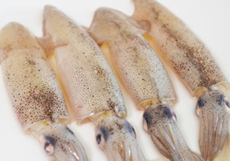 筆管魚是什么魚？筆管魚怎么吃