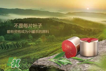 小罐茶怎么樣？小罐茶真的有那么好么