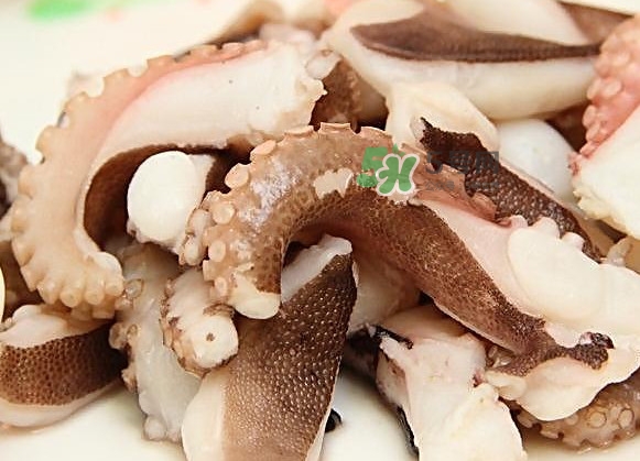 章魚有幾只腳？章魚有幾個爪子