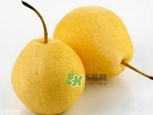 貢梨可以做冰糖雪梨嗎？貢梨可以燉川貝嗎？