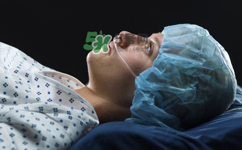 松花粉能治腎炎嗎？腎炎吃哪些食物好？