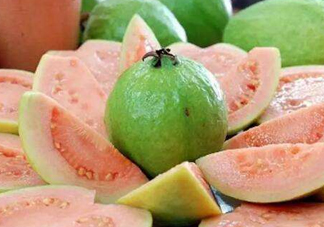芭樂和石榴有什么區(qū)別？芭樂要吃硬的還是軟的？