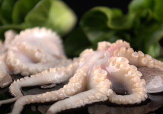 章魚有幾只腳？章魚有幾個爪子