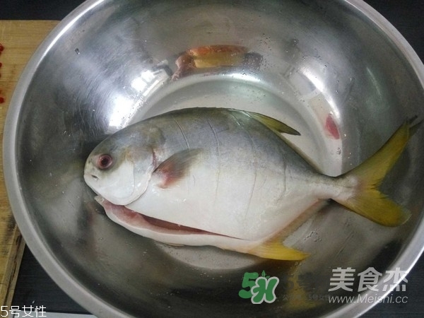 金鯧魚(yú)是海魚(yú)嗎？金鯧魚(yú)的刺多嗎？