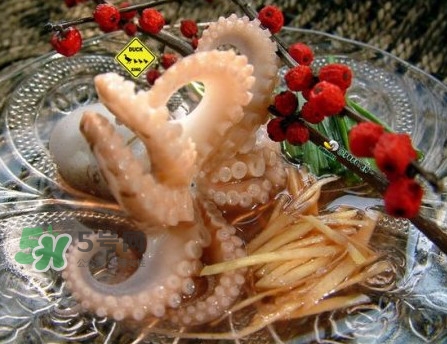 章魚有幾只腳？章魚有幾個爪子