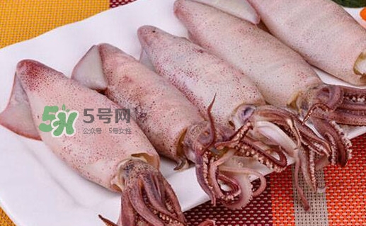 筆管魚怎么做好吃？筆管魚有什么營養(yǎng)