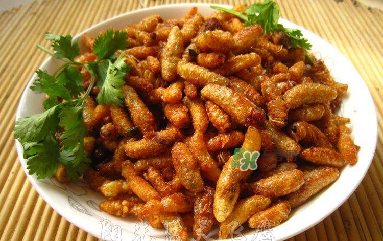 蜂蛹可以生吃嗎？蜂蛹的營養(yǎng)價值