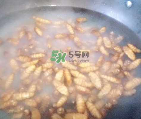 蜂蛹怎么保存？蜂蛹怎么做好吃？