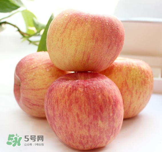 蘋(píng)果種類(lèi)有哪些？蘋(píng)果種類(lèi)哪種最好