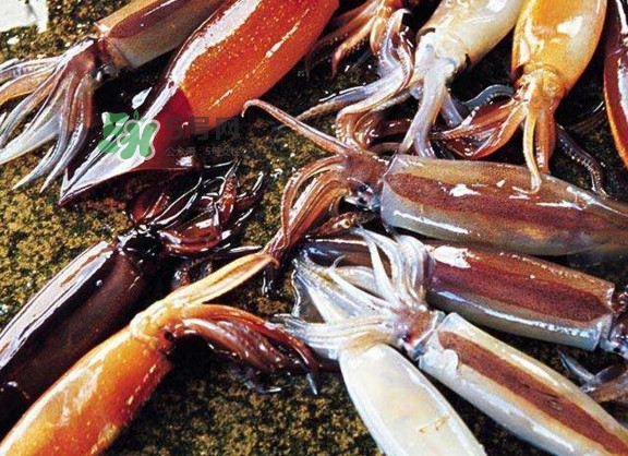 魷魚(yú)是堿性食物嗎？魷魚(yú)是酸性還是堿性？