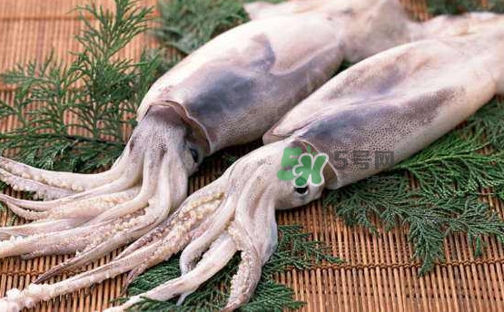 魷魚頭怎么切？魷魚怎么切花刀