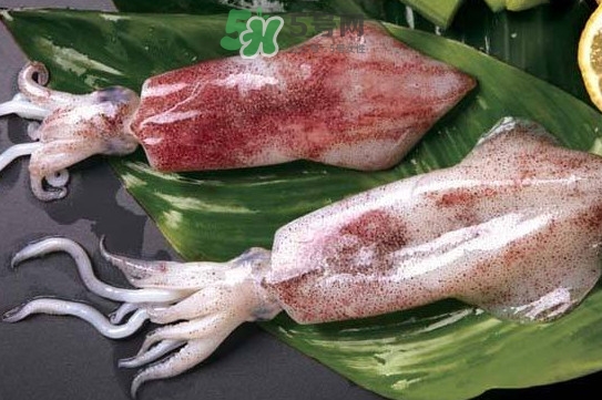 新鮮魷魚怎么處理？魷魚怎么清洗？