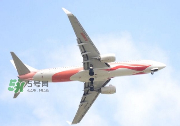 魷魚絲可以帶上飛機嗎？魷魚絲能帶上飛機嗎