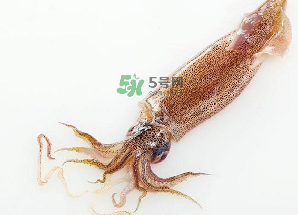 魷魚要焯水嗎？魷魚怎樣焯水