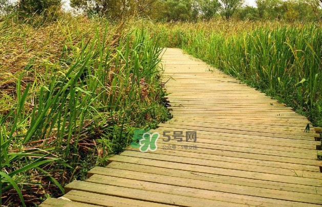 心碎綜合癥是抑郁癥嗎？心碎綜合癥怎么治療