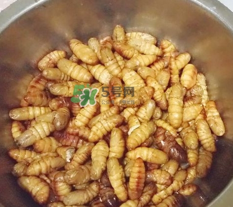 蜂蛹怎么保存？蜂蛹怎么做好吃？