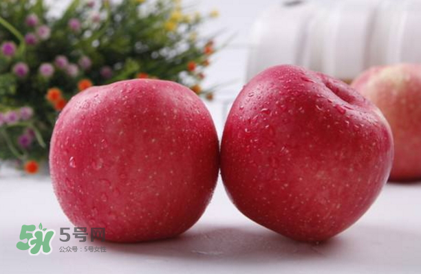 蘋果是什么季節(jié)的水果？蘋果什么時(shí)候吃最好