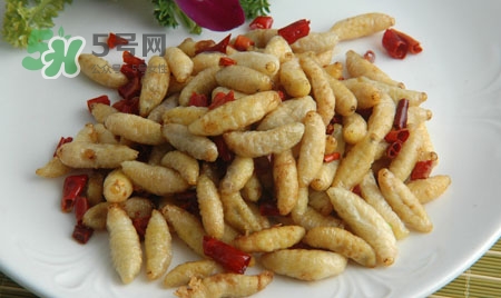 寶寶可以吃蜂蛹嗎？蜂蛹怎么吃最好吃？