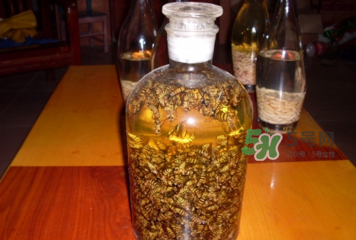 蜂蛹和枸杞能一起泡酒嗎？蜂蛹和枸杞泡酒的功效