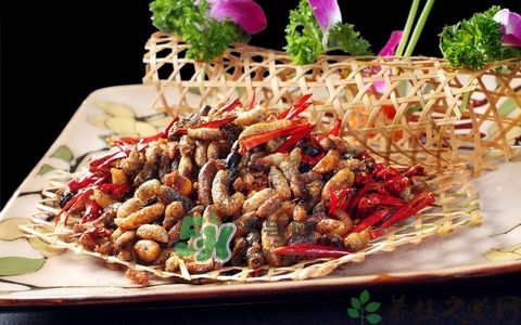 蜂蛹和枸杞能一起泡酒嗎？蜂蛹和枸杞泡酒的功效