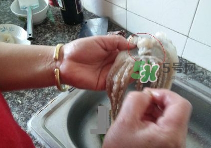 魷魚(yú)是堿性食物嗎？魷魚(yú)是酸性還是堿性？