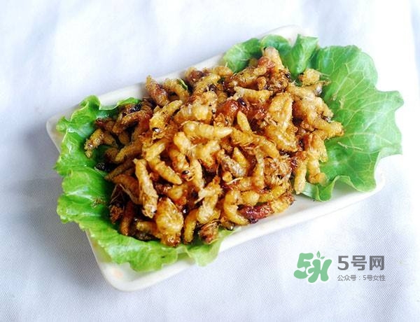 蜂蛹怎么保存？蜂蛹怎么做好吃？