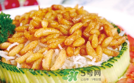 吃蜂蛹過敏了怎么辦？蜂蛹過敏的癥狀