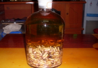 蜂蛹和枸杞能一起泡酒嗎？蜂蛹和枸杞泡酒的功效