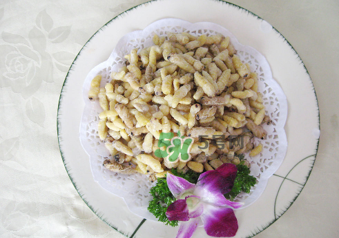 蜂蛹孕婦可以吃嗎？孕婦吃蜂蛹過敏怎么辦？