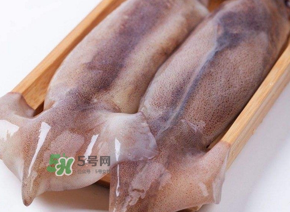 新鮮魷魚怎么保存？魷魚可以冷凍嗎