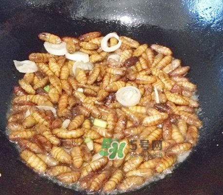 蜂蛹怎么保存？蜂蛹怎么做好吃？