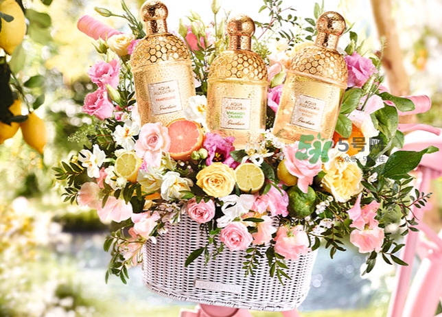 嬌蘭佛手柑花草水語淡香水怎么樣？嬌蘭佛手柑香水價(jià)格