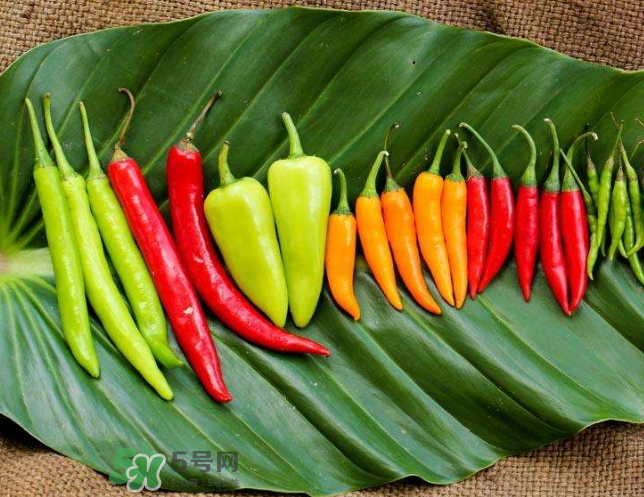 辣椒炒雞蛋的熱量是多少？辣椒能減肥嗎？