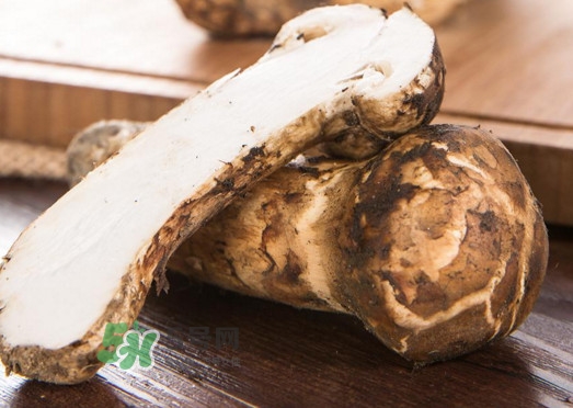 新鮮松茸怎么挑選？干松茸如何挑選