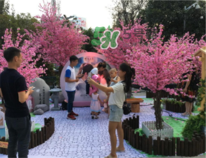 云南白藥養(yǎng)元青小養(yǎng)系列多少錢？什么時候上市？