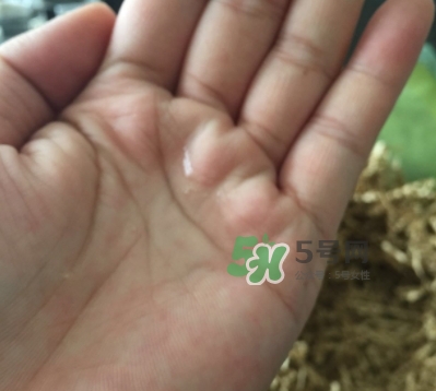 菌菇水是哪個國家的？悅木之源菌菇水是日本的嗎