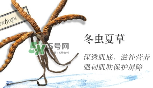 菌菇水是哪個國家的？悅木之源菌菇水是日本的嗎