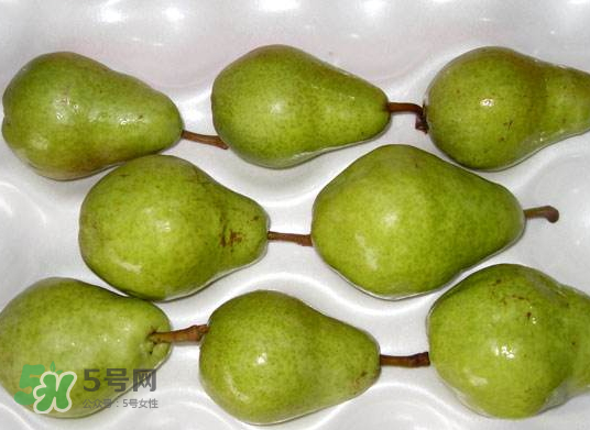 葫蘆梨怎么軟的快？葫蘆梨幾月份成熟？