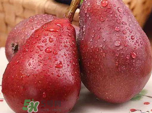 紅啤梨什么時候成熟？紅啤梨產(chǎn)地在哪？