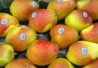 香蕉梨怎么熟的快？香蕉梨怎么變軟？